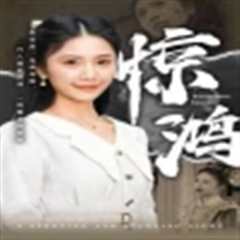 免费在线观看《惊鸿72集版》