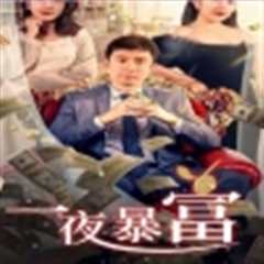 免费在线观看《新：一夜暴富（85集）》