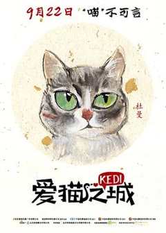 免费在线观看《爱猫之城》