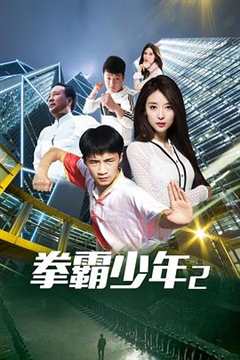 免费在线观看《拳霸少年2》