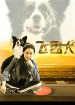 免费在线观看《飞盘犬》