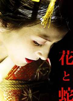 免费在线观看《花与蛇2004》