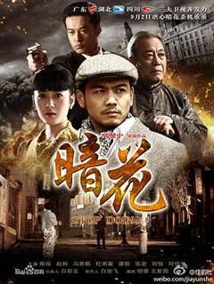 免费在线观看《暗花2012》