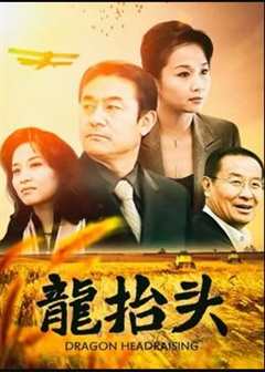 免费在线观看《龙抬头2007》