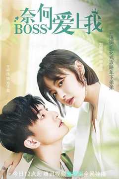 免费在线观看《奈何BOSS爱上我》