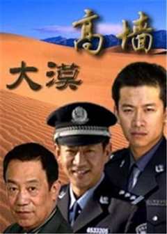 免费在线观看《大漠高墙》