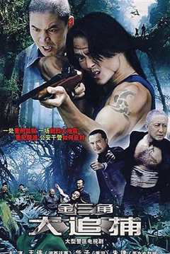 免费在线观看《大追捕2008》