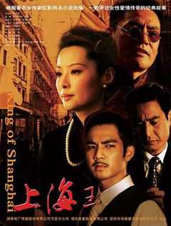 免费在线观看《上海王2008》