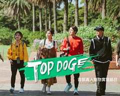 免费在线观看《TOP DOG》