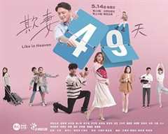 免费在线观看《欺妻49天》