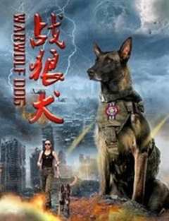 免费在线观看《战狼犬》