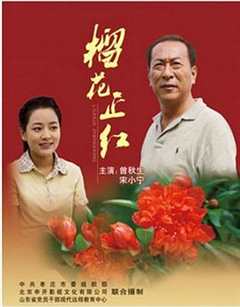 免费在线观看《榴花正红》