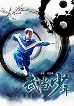 免费在线观看《武当少年》