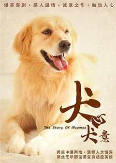 免费在线观看《犬心犬意》