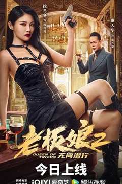 免费在线观看《老板娘2无间潜行》