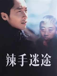 免费在线观看《辣手迷途2001》