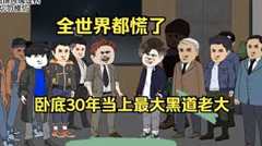 免费在线观看《终极卧底》