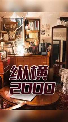 免费在线观看《纵横2000》