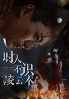 免费在线观看《时人不识凌云木》