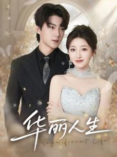 免费在线观看《华丽人生》