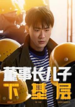 免费在线观看《董事长儿子下基层》
