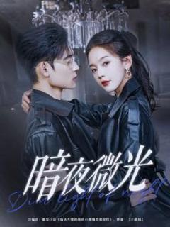 免费在线观看《暗夜微光》