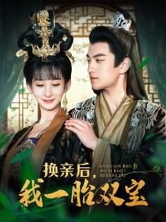 免费在线观看《换亲后，我一胎双宝》