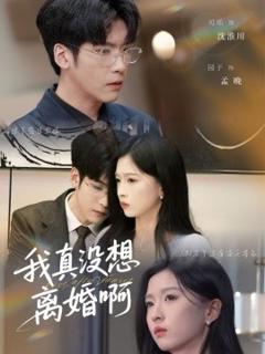 免费在线观看《我真没想离婚啊》