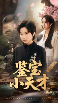 免费在线观看《鉴宝小天才》