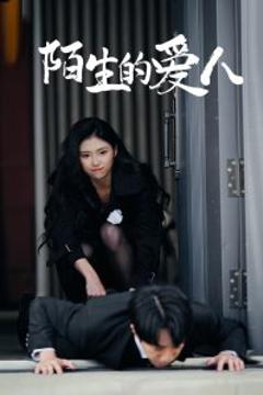 免费在线观看《陌生的爱人》