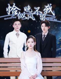 免费在线观看《恰似晚风不留我＆弃他如风》