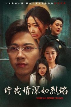 免费在线观看《许我情深如烈焰》