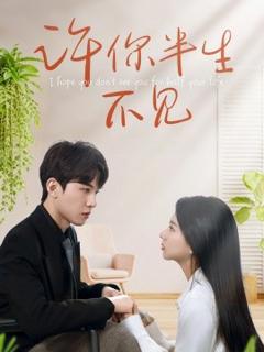 免费在线观看《许你半生不见》