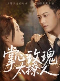 免费在线观看《掌心玫瑰太撩人》