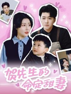 免费在线观看《贺先生的命定甜妻》