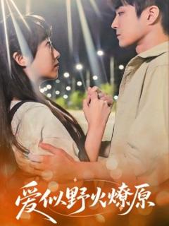 免费在线观看《爱似野火燎原》