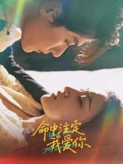 免费在线观看《命中注定我爱你63集》