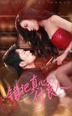 免费在线观看《错把真心付良人》