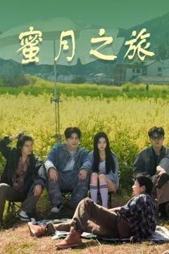 免费在线观看《蜜月之旅》
