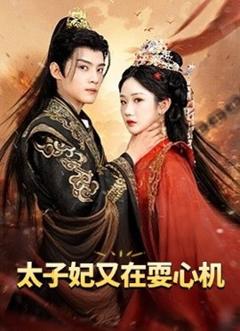 免费在线观看《太子妃又在耍心机》