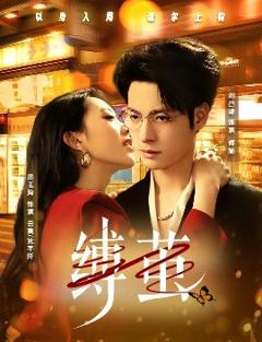 免费在线观看《缚茧》