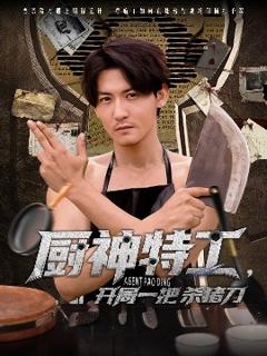 免费在线观看《厨神特工开局一把杀猪刀》