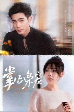 免费在线观看《掌心枭宠》
