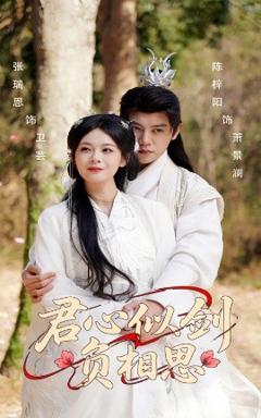 免费在线观看《君心似剑负相思》