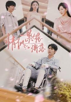 免费在线观看《情似繁花渐落》