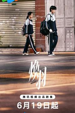 免费在线观看《焕羽》