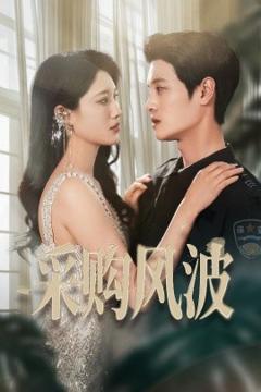 免费在线观看《采购风波》