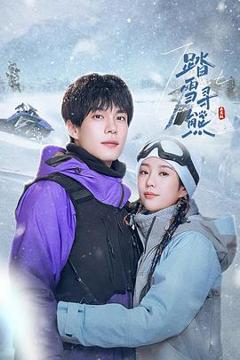 免费在线观看《踏雪寻熊》