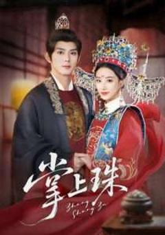 免费在线观看《掌上珠》