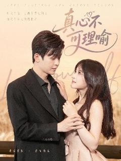 免费在线观看《真心不可理喻》